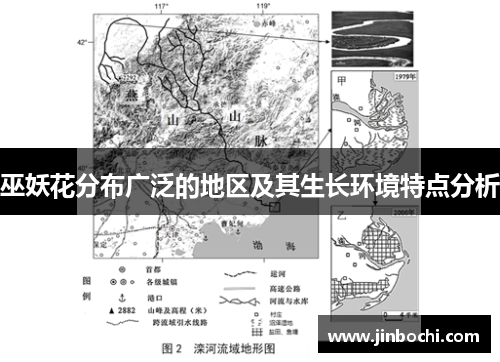 巫妖花分布广泛的地区及其生长环境特点分析